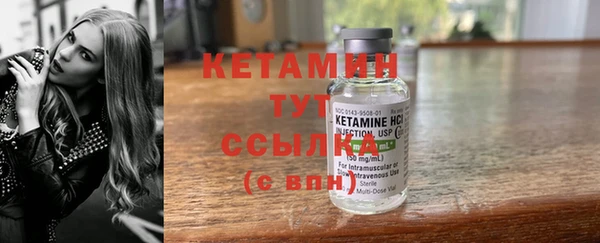 сатива Пересвет