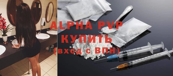 индика Переславль-Залесский